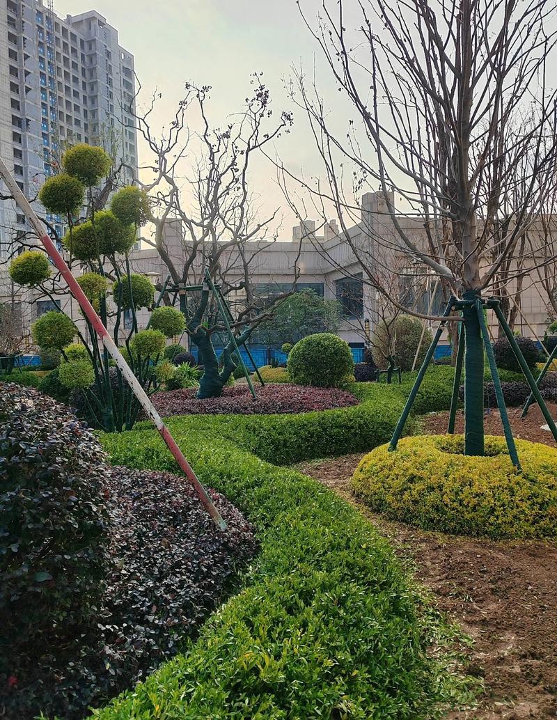 小区景观绿化